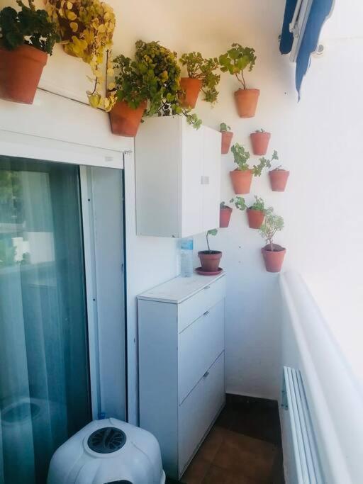 Apartment Bonito Apartamento Cerca De Puerto Banus *